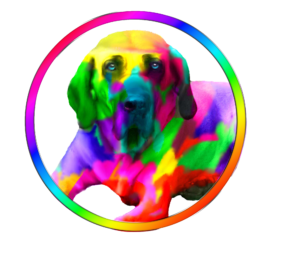 Dandara Multicolor