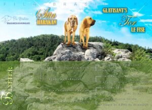 Sita és Tor a sziklán + Pedigre